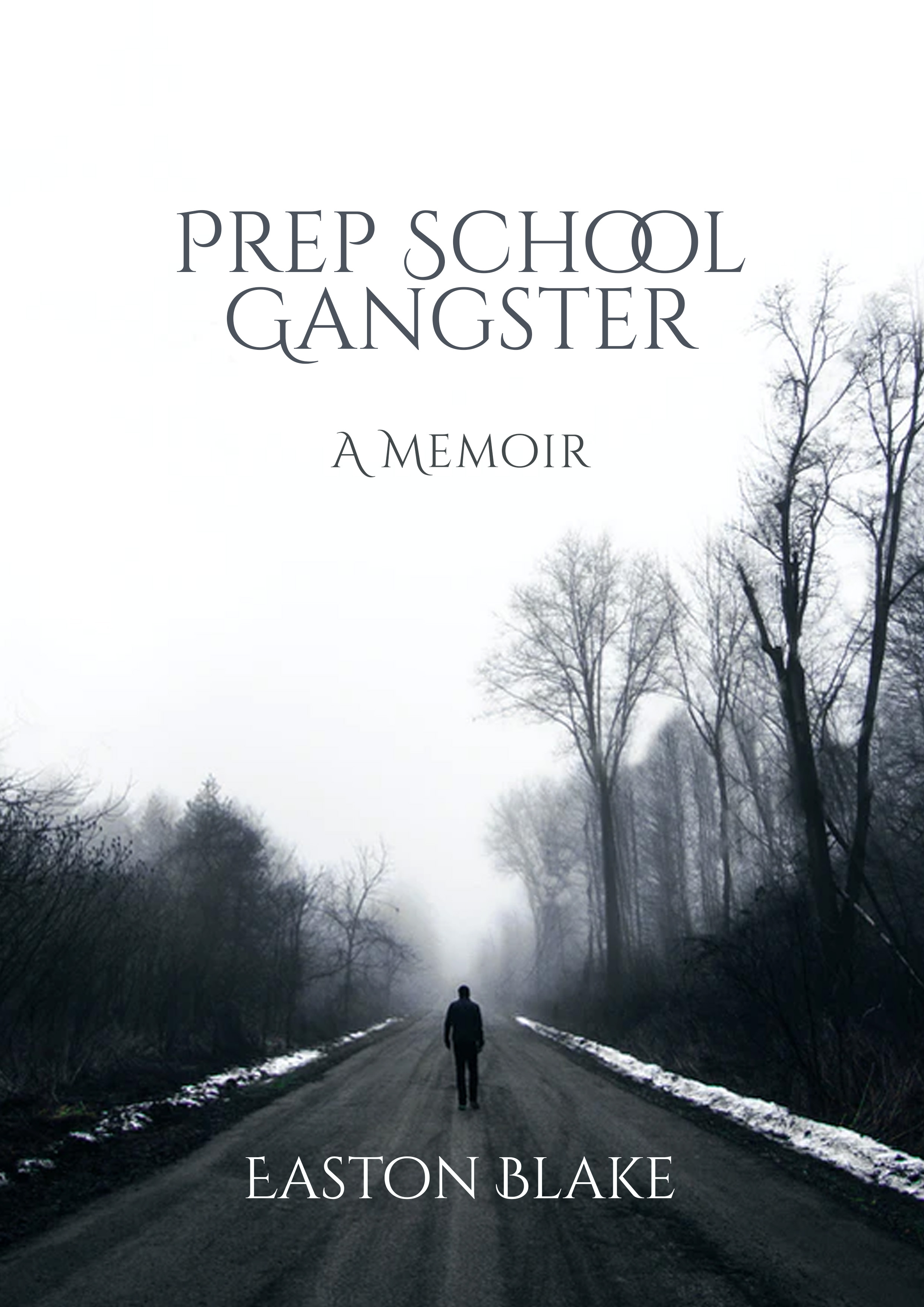 eBook Cover Design by Raphael Archer for this project | Design #25770909