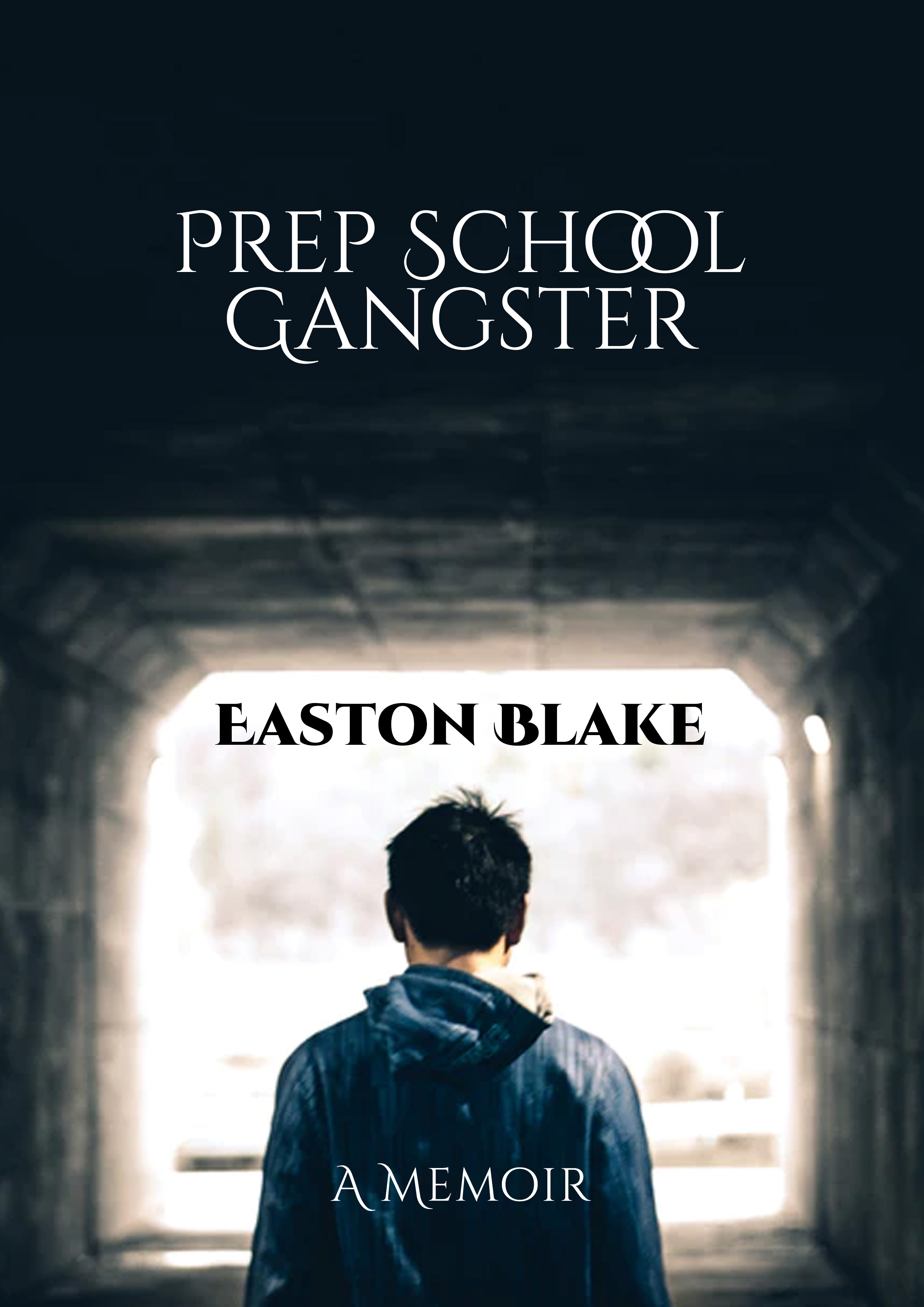 eBook Cover Design by Raphael Archer for this project | Design #25770910