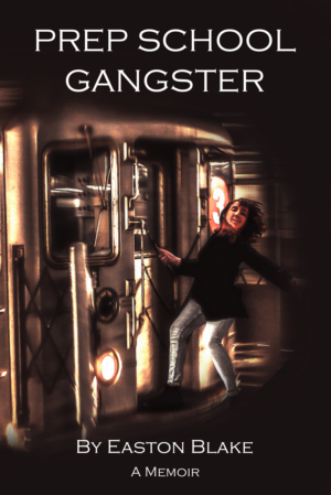 Need an ebook cover for a memoir about growing up in NYC in the 90s and getting in lots of trouble.  | eBook Cover Design by Wally_F