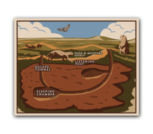 Design Illustration par Vadim V pour Theodore Roosevelt Nature & History Association | Design : #25768018