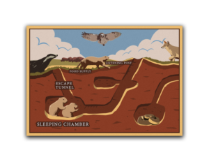 Design Illustration par Vadim V pour Theodore Roosevelt Nature & History Association | Design : #25777668