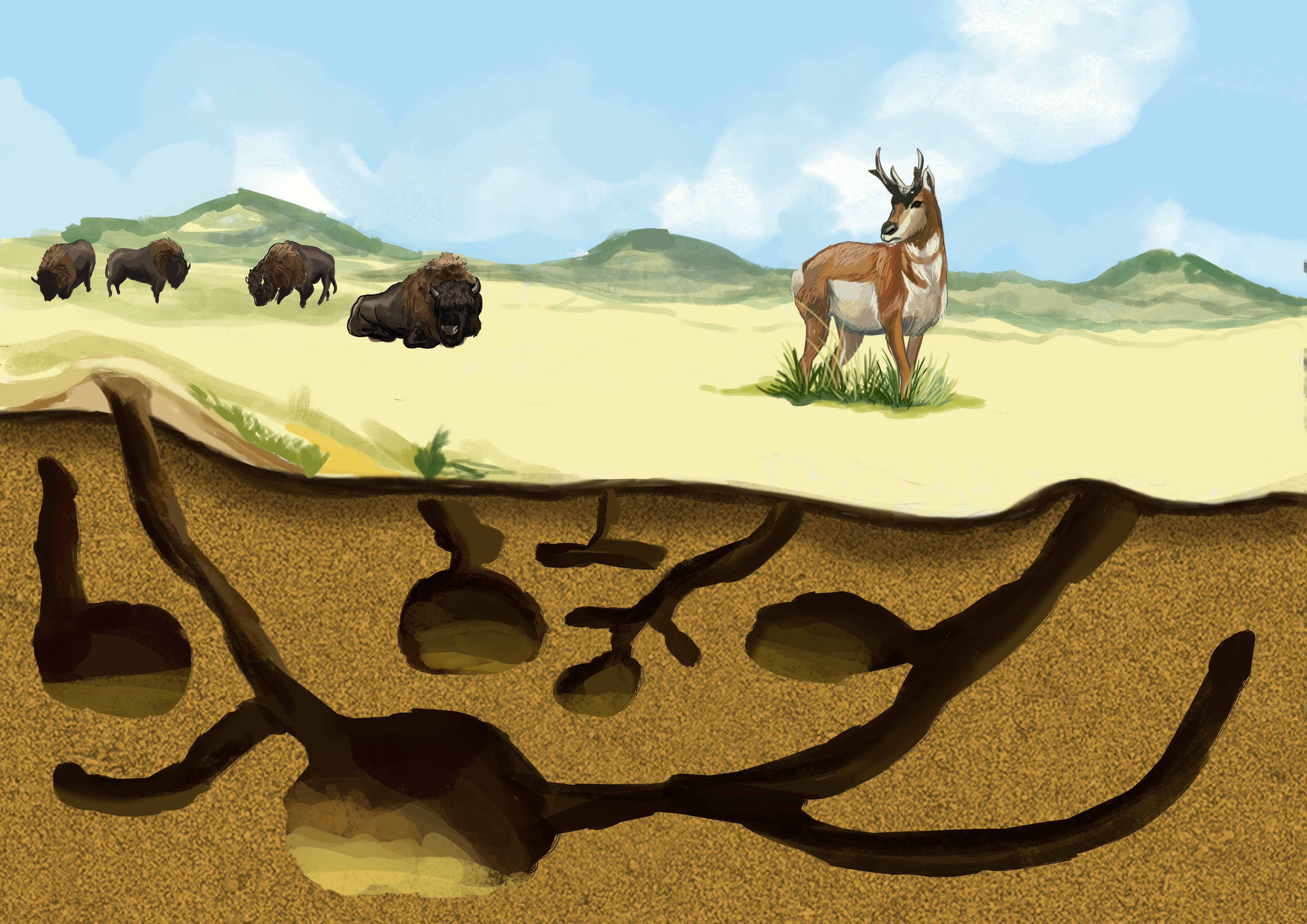 Diseño Con Ilustración por Nublan Ameram para Theodore Roosevelt Nature & History Association | Diseño #25760351