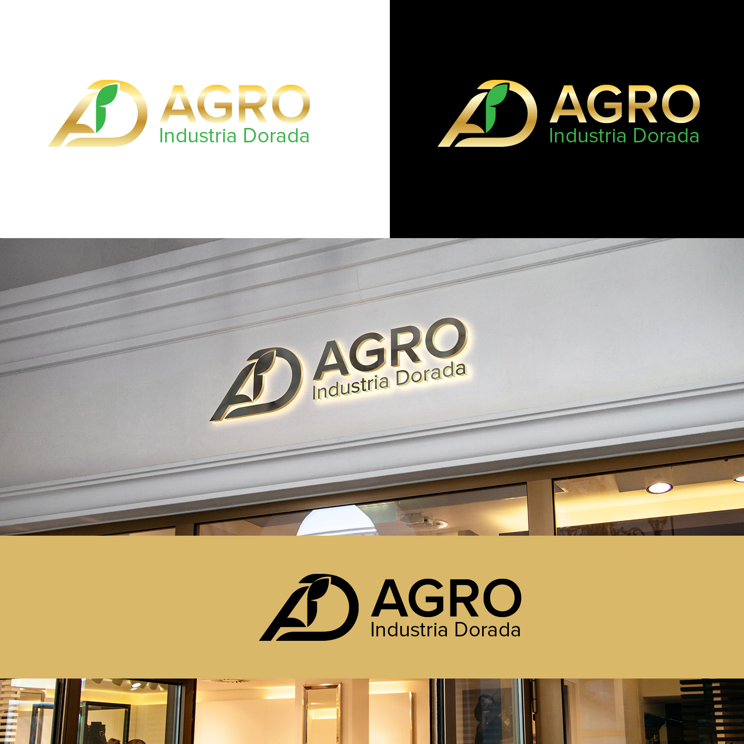 Diseño de Logo por Maxo-Biz para IFTO SAS | Diseño #25748549