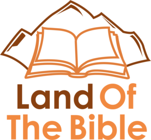 Logo Design by TalaZen