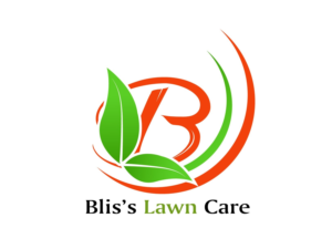 Design de Logo par Ebizeo pour BLIS Family, LLC | Design #25775195
