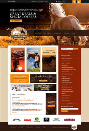 Web Design by Unity Design Studios