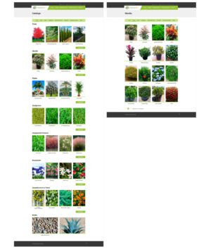 Catalogue Design by tanya_gaysina59