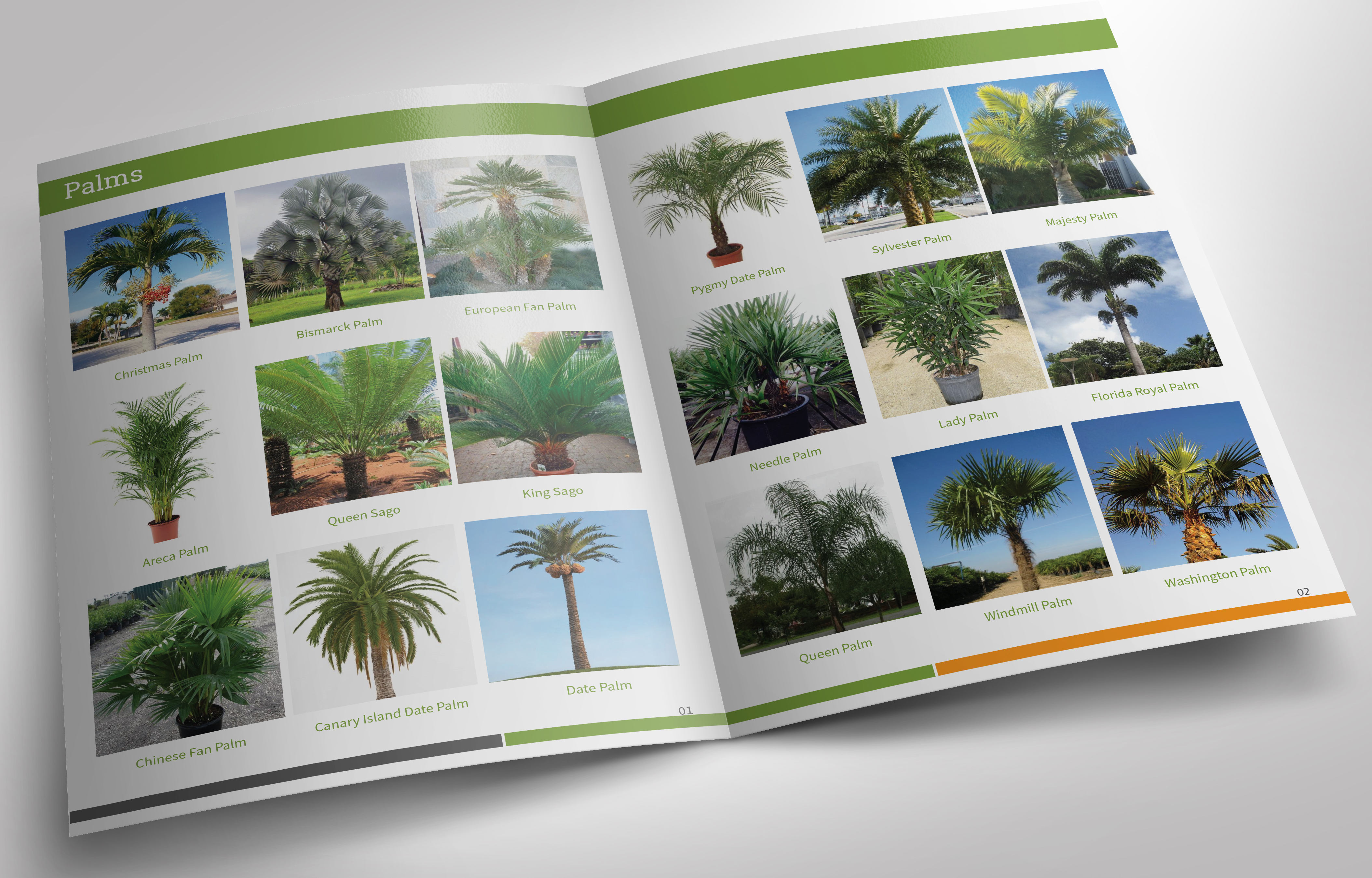 Diseño de Catálogo por Shabnum Khan para este proyecto | Diseño #25811193