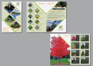 Catalogue Design by Skybluedesignstudio