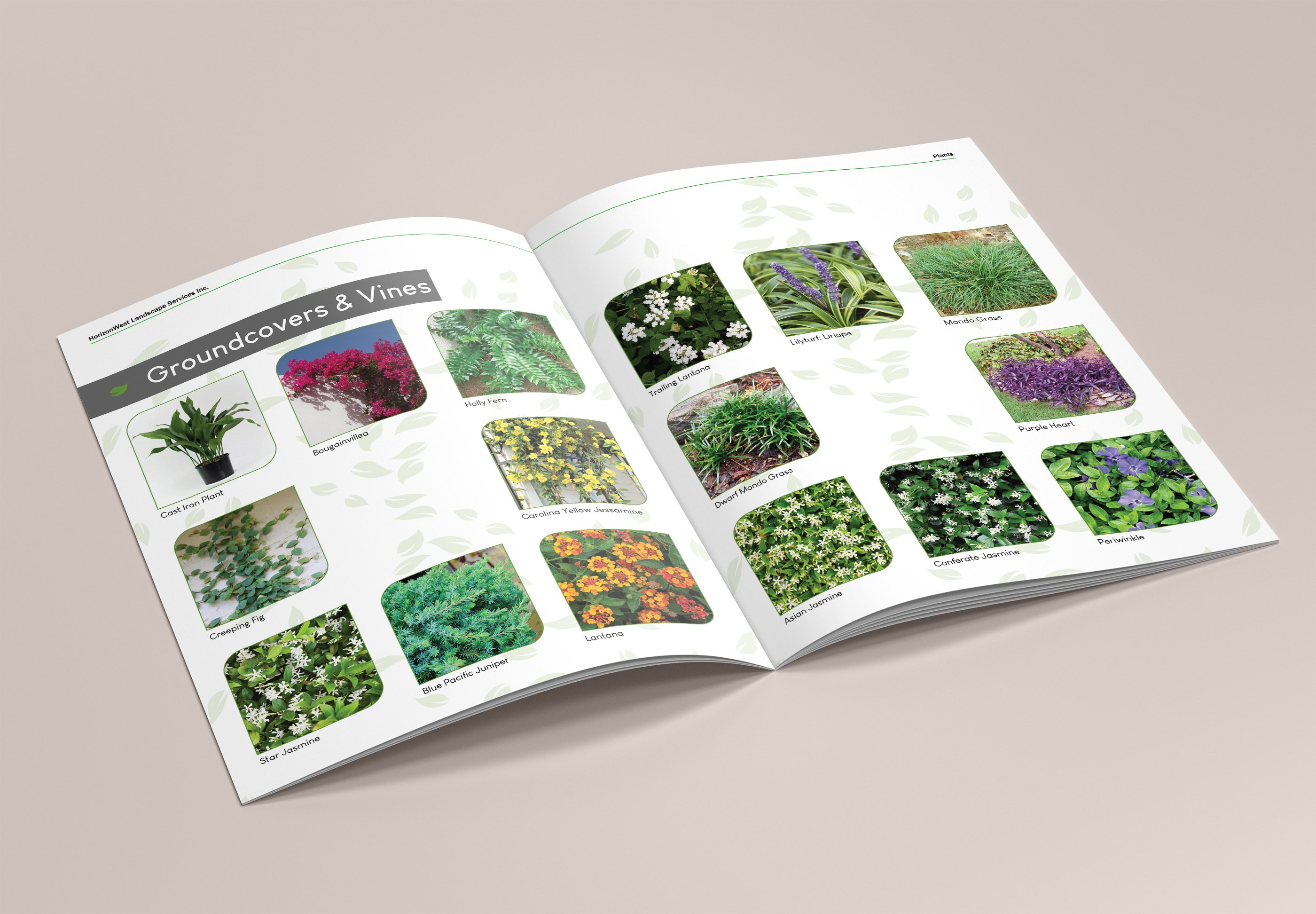 Katalog-Design von DovedanArt für dieses Projekt | Design: #25768094