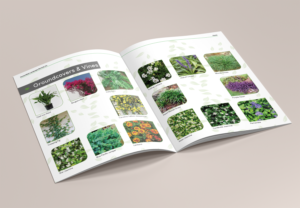 Design de Catalogue par DovedanArt pour ce projet | Design #25768094