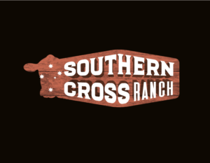 Design de Logo par Dzine Shop pour ce projet | Design : #25944839