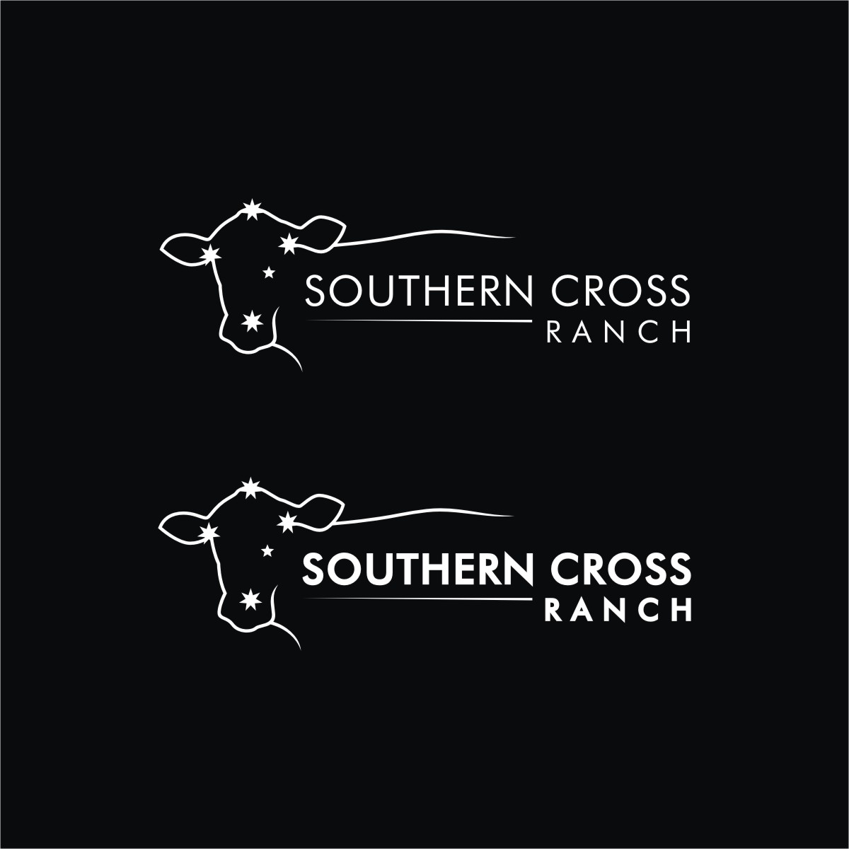 Diseño de Logo por Ashani Bhattacharya para este proyecto | Diseño #25852574