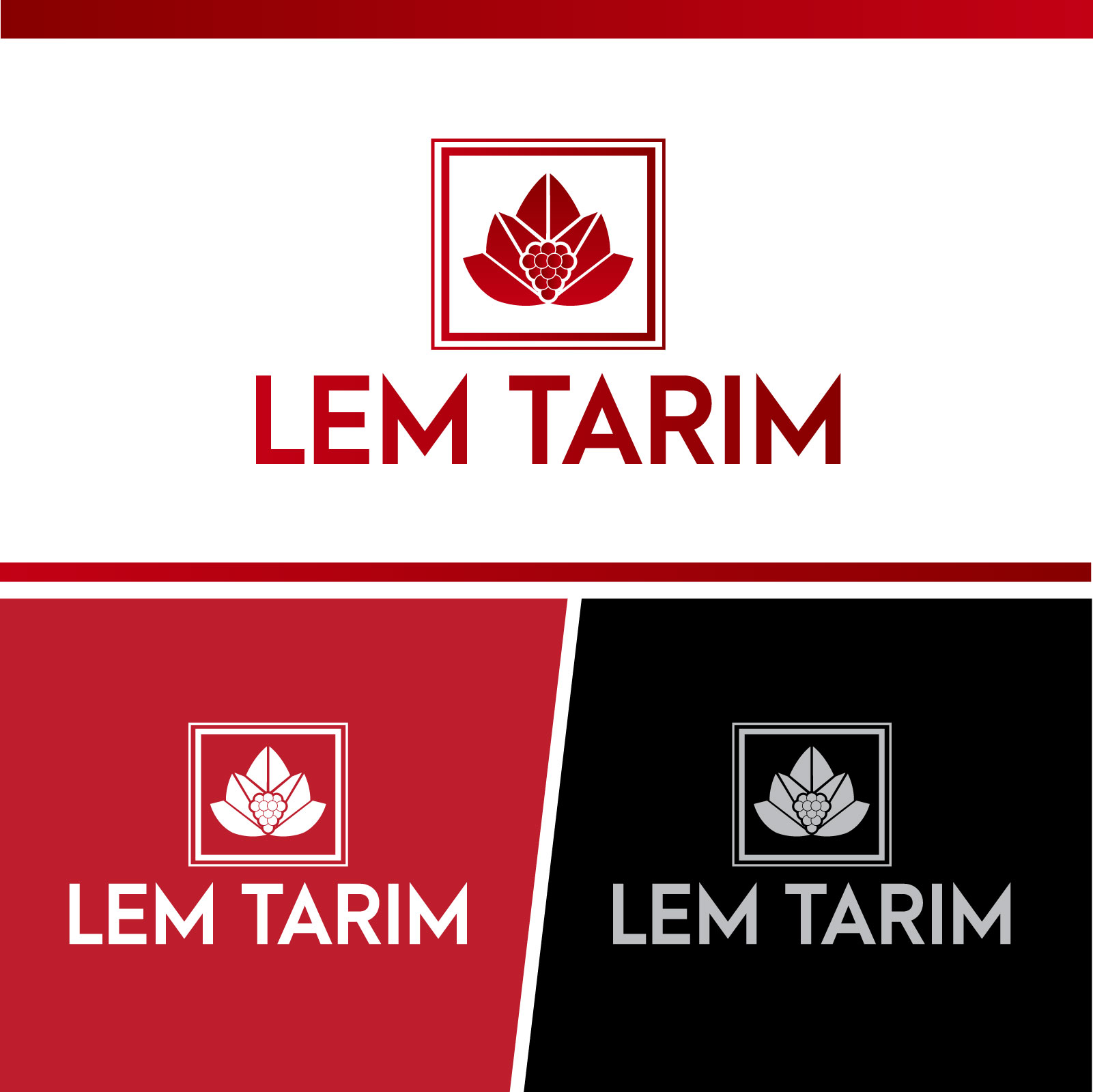 Logo Design by EnriqueF for this project | Design #25818448