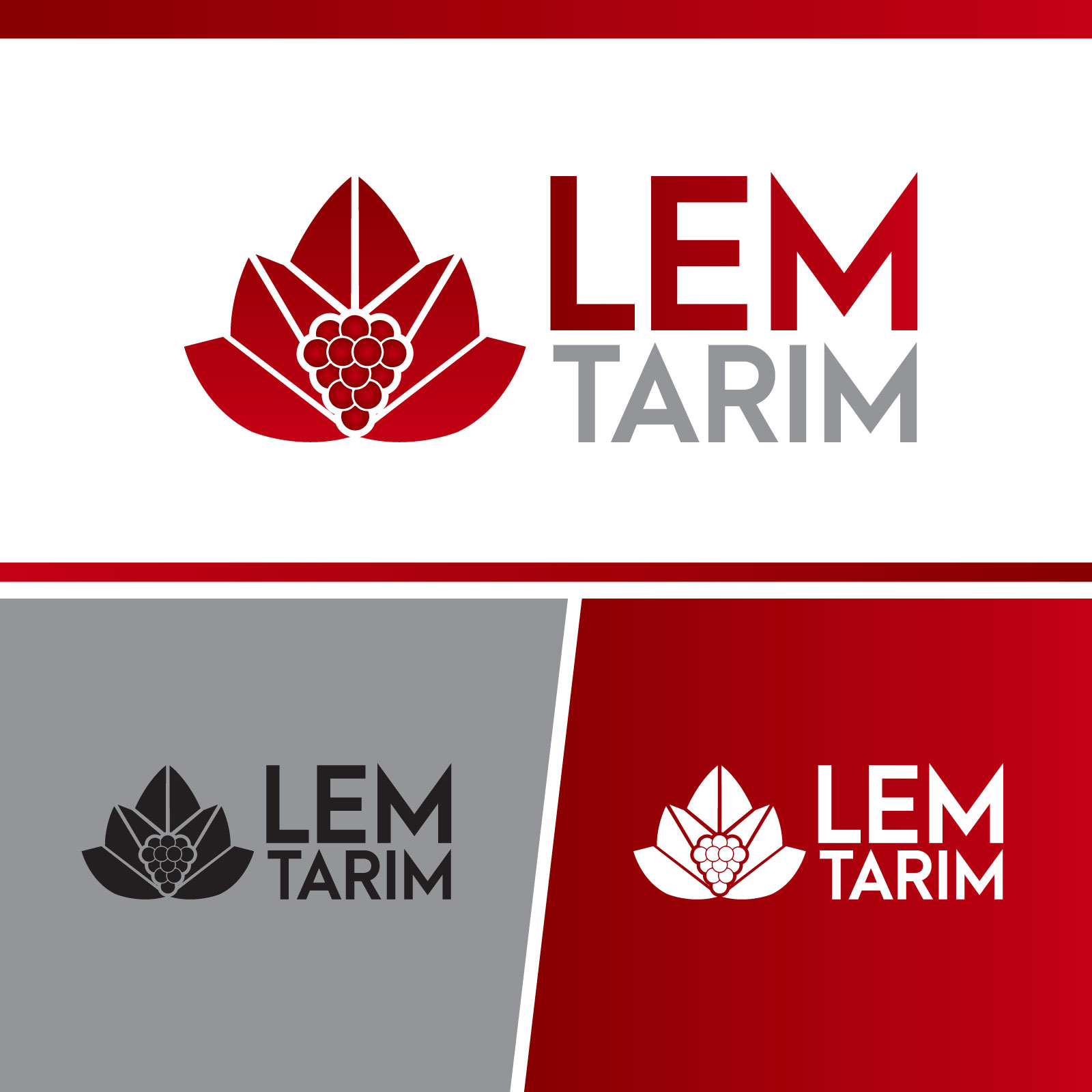 Logo Design by EnriqueF for this project | Design #25818497