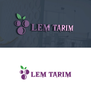 Logo Design by Rickyy for this project | Design: #25802453