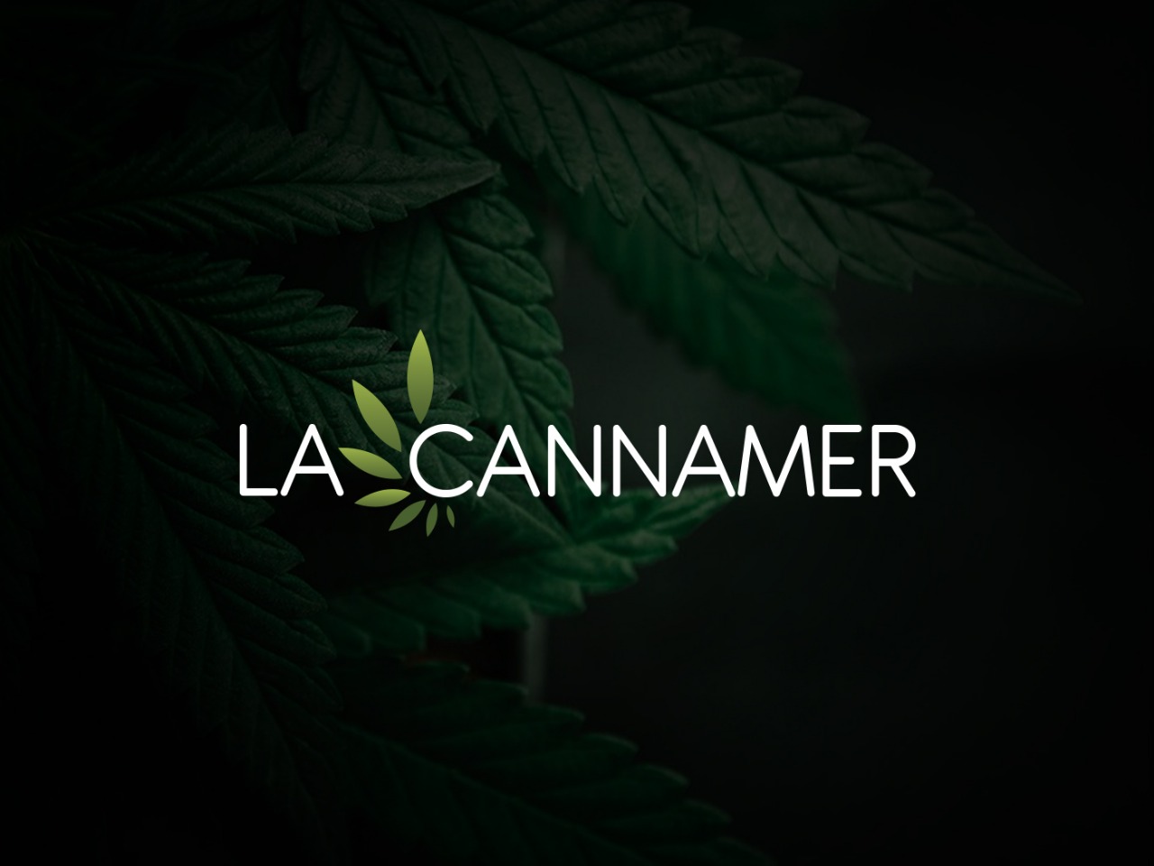 Logo Design by Gexton for this project | Design #25788086