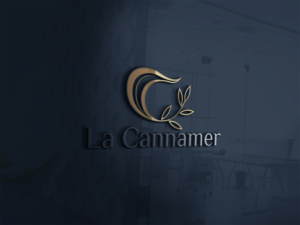 Logo Design by Deziners Zone for this project | Design: #25780673