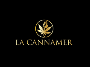 Logo Design by expert pro for this project | Design: #25779519