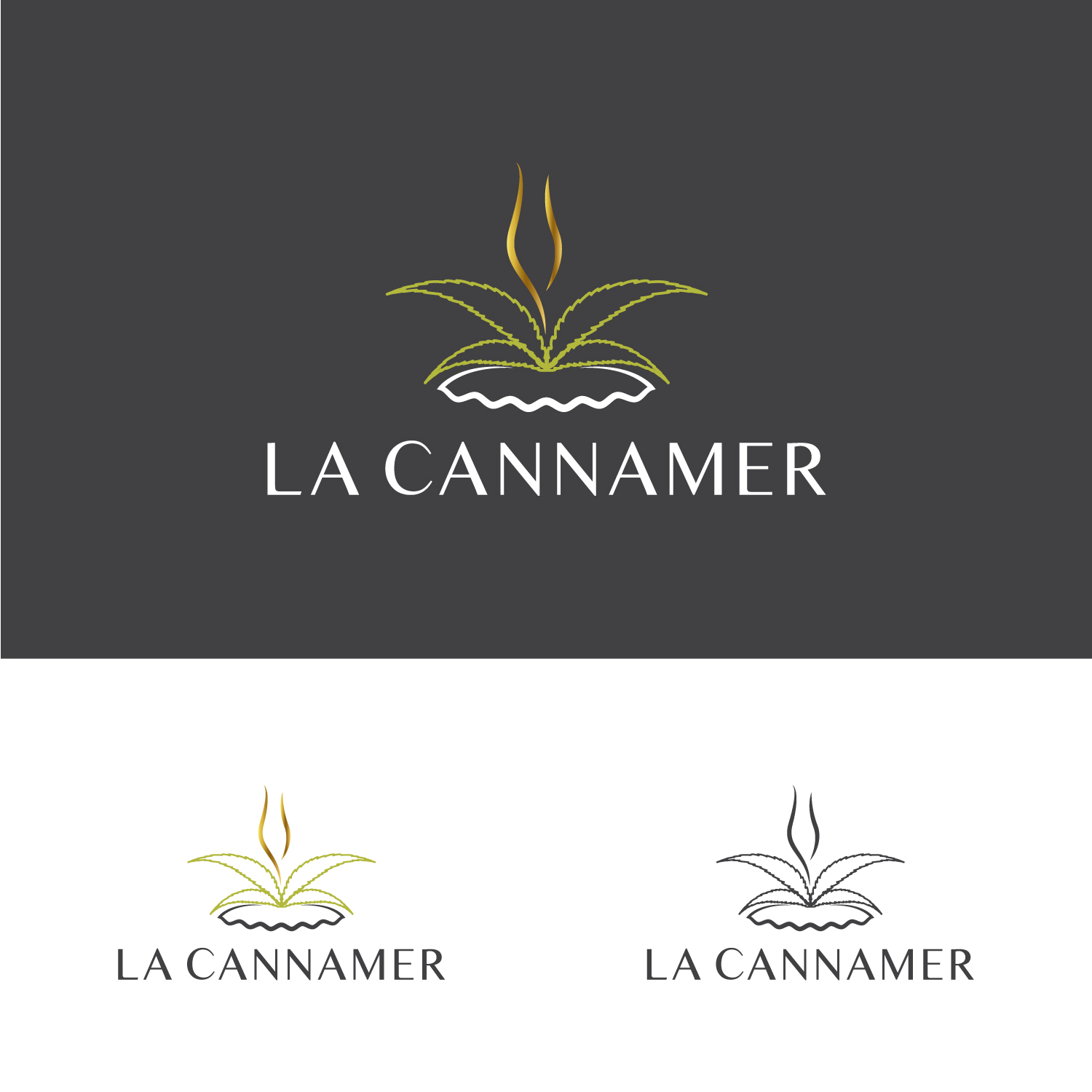 Logo Design by AinebAyoub for this project | Design #25812929