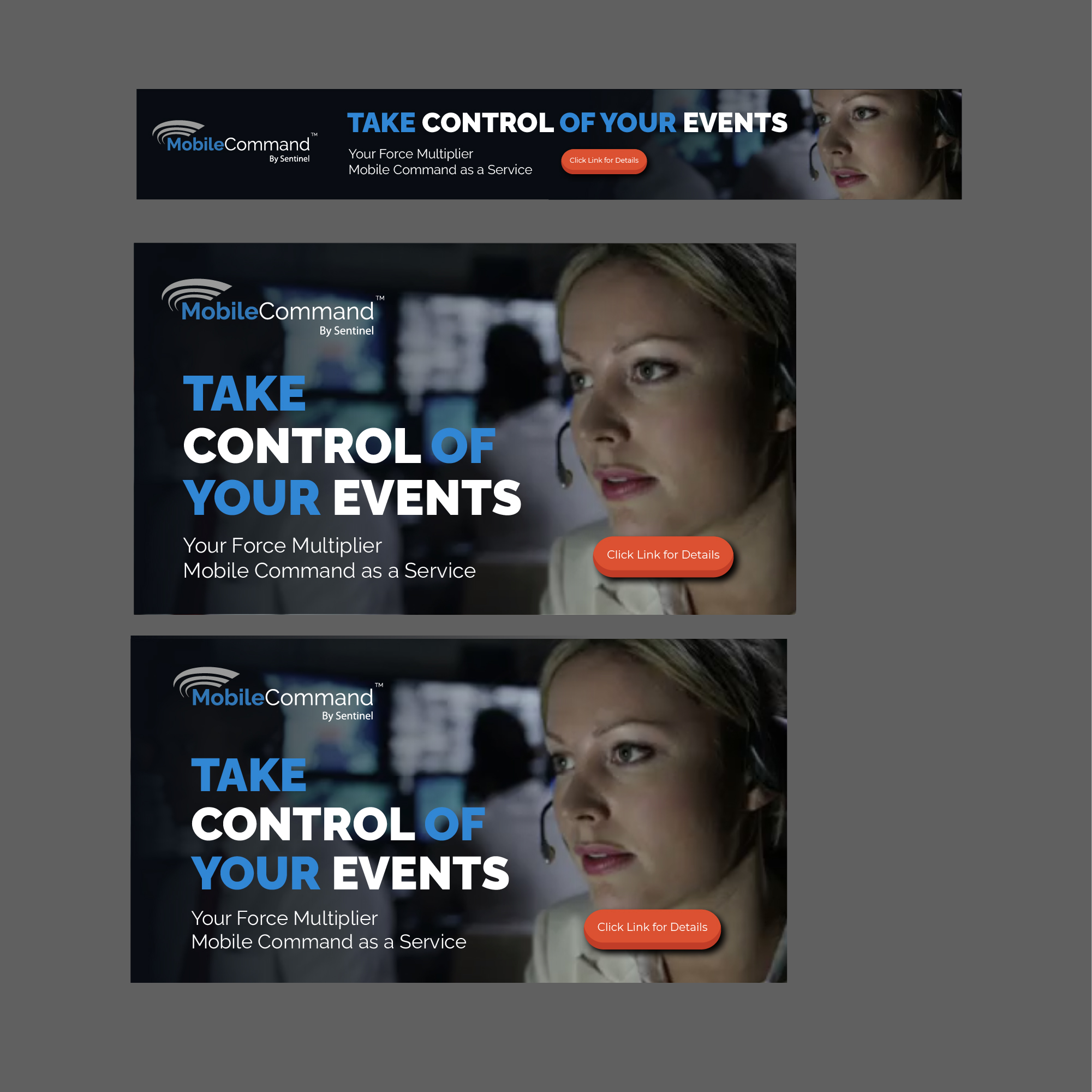 Banner Ad Design by Ivelina Tsvetkova for Sentinel Consulting, LLC | Design: #25757267