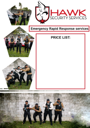 Flyer-Design von Vogue6 für Hawk Security Services Ltd.  | Design #25757355