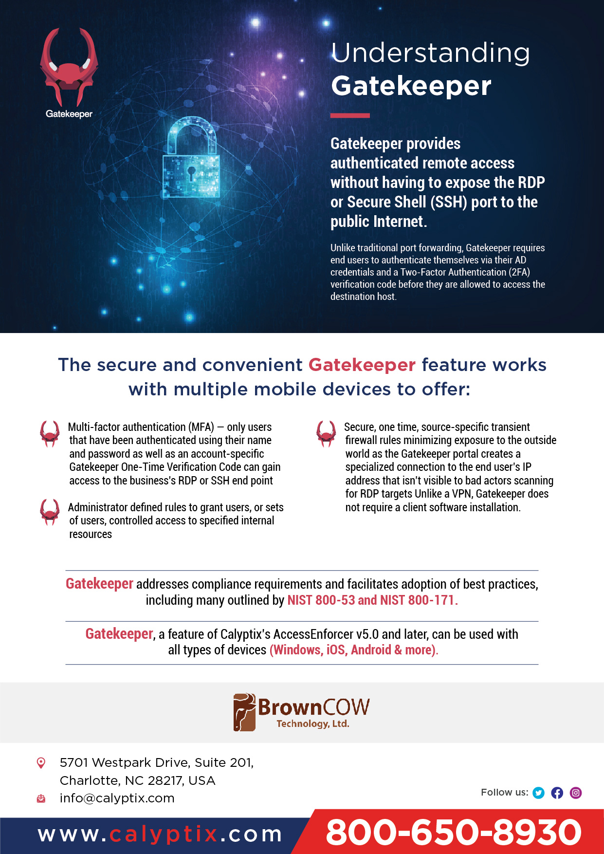 Flyer Design by AQKhan for Calyptix | Design #25819760