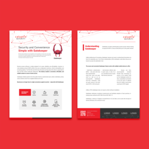 Design a Marketing Brochure for IT Security Solution