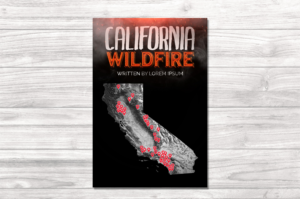 Graphic Design by kourosh