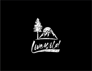 Logo Design by BNdesigner