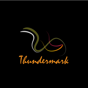 Logo Design by gordanaingoxstudio