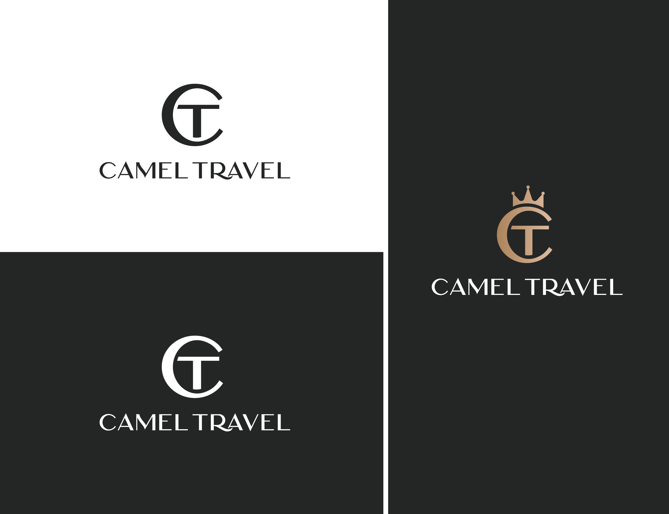Design de Logo par lnb... pour Camel Travel | Design #25762857