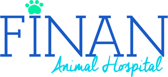 Logo-Design von lorenaholguinveras für dieses Projekt | Design #3074928