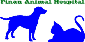 Logo Design by Jamaliquise DeQuan