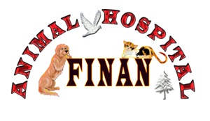 Logo Design by Md Rahman