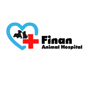 Logo Design by Badar