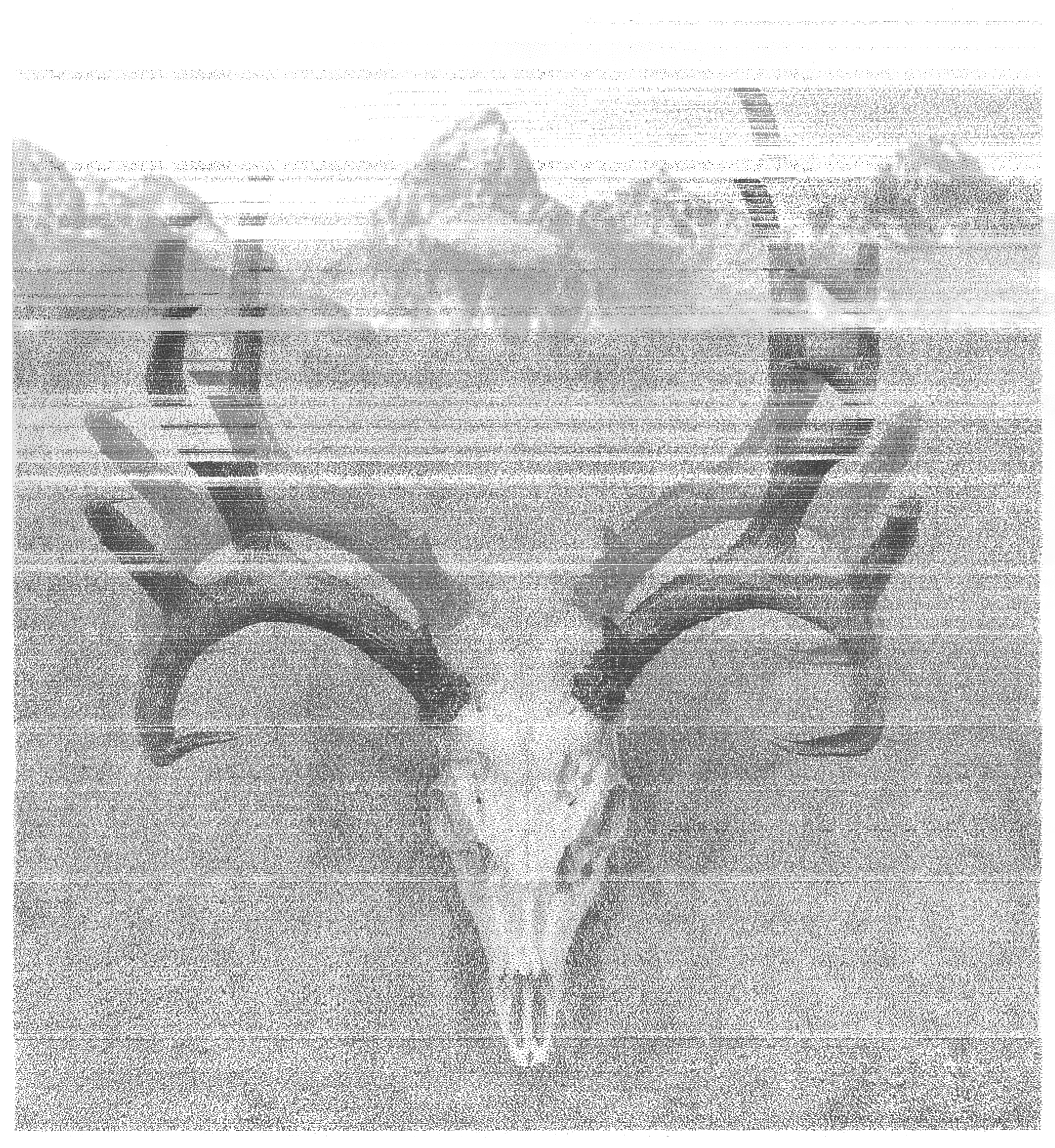 T-Shirt-Design von Peter Pagh für CREATIVE MASONRY | Design #25780507