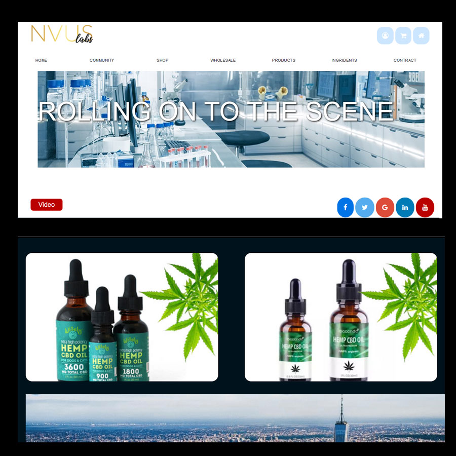 Web Design by Rupok 3 for NVUS Labs | Design #25802314