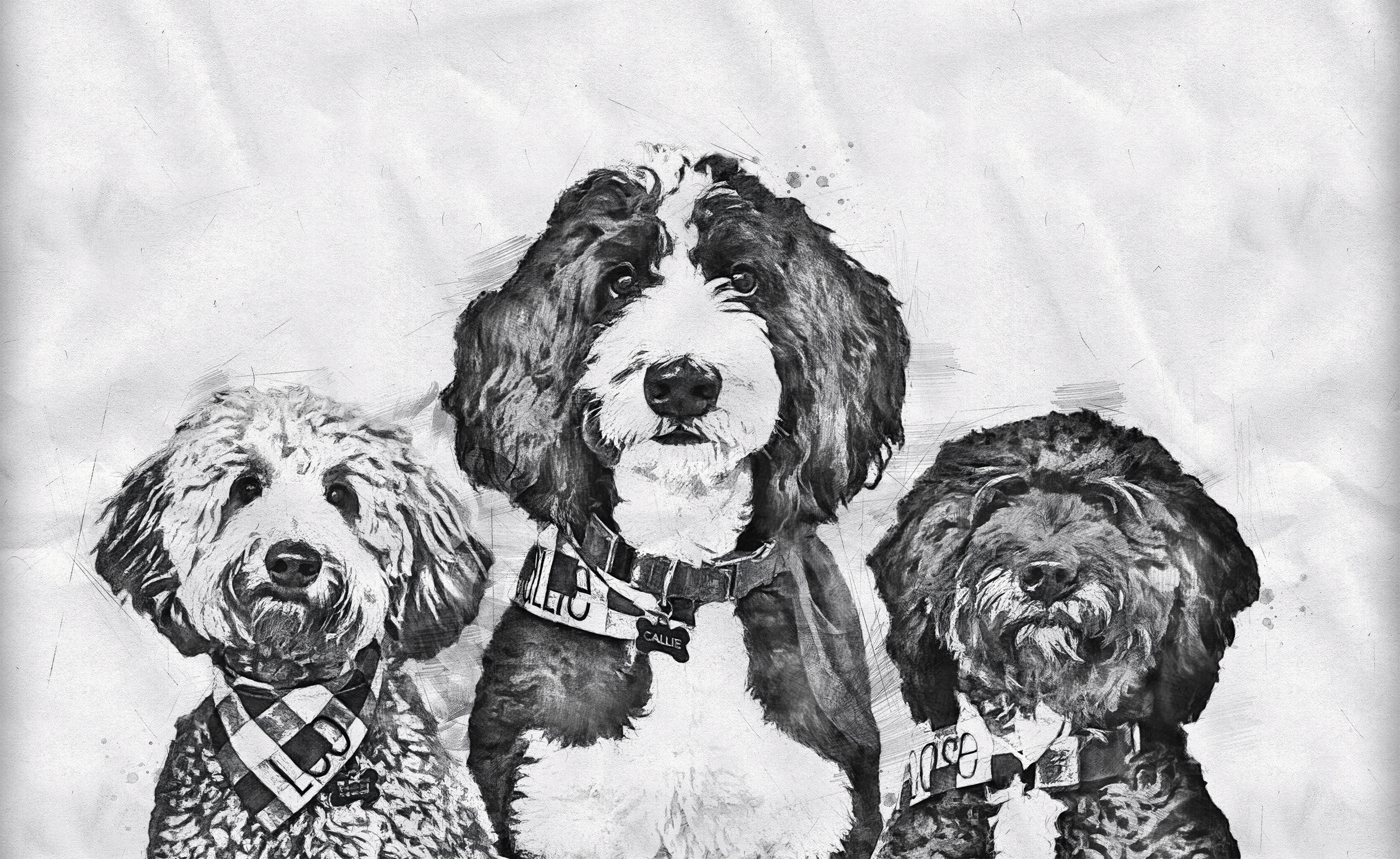 Diseño Gráfico por Blumenfeld para este proyecto | Diseño #25775511