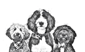 Pencil sketch from photo | Graphic Design by Blumenfeld