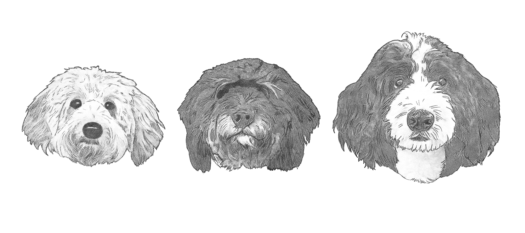 Graphic Design by Wally_F for this project | Design #25781420