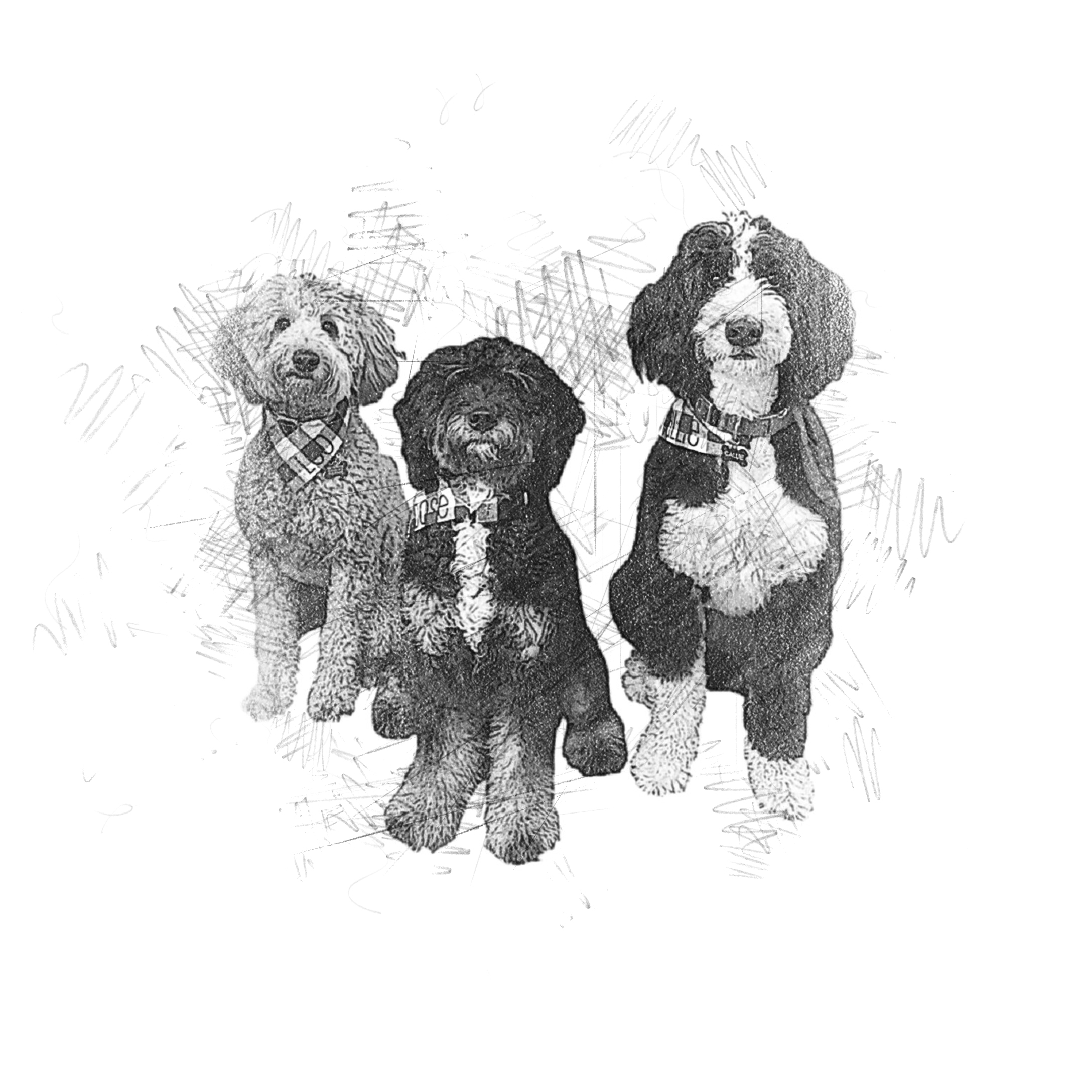 Diseño Gráfico por ajeesh.in para este proyecto | Diseño #25776630