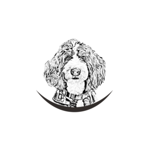 Pencil sketch from photo | Design Graphique par lookedaeng