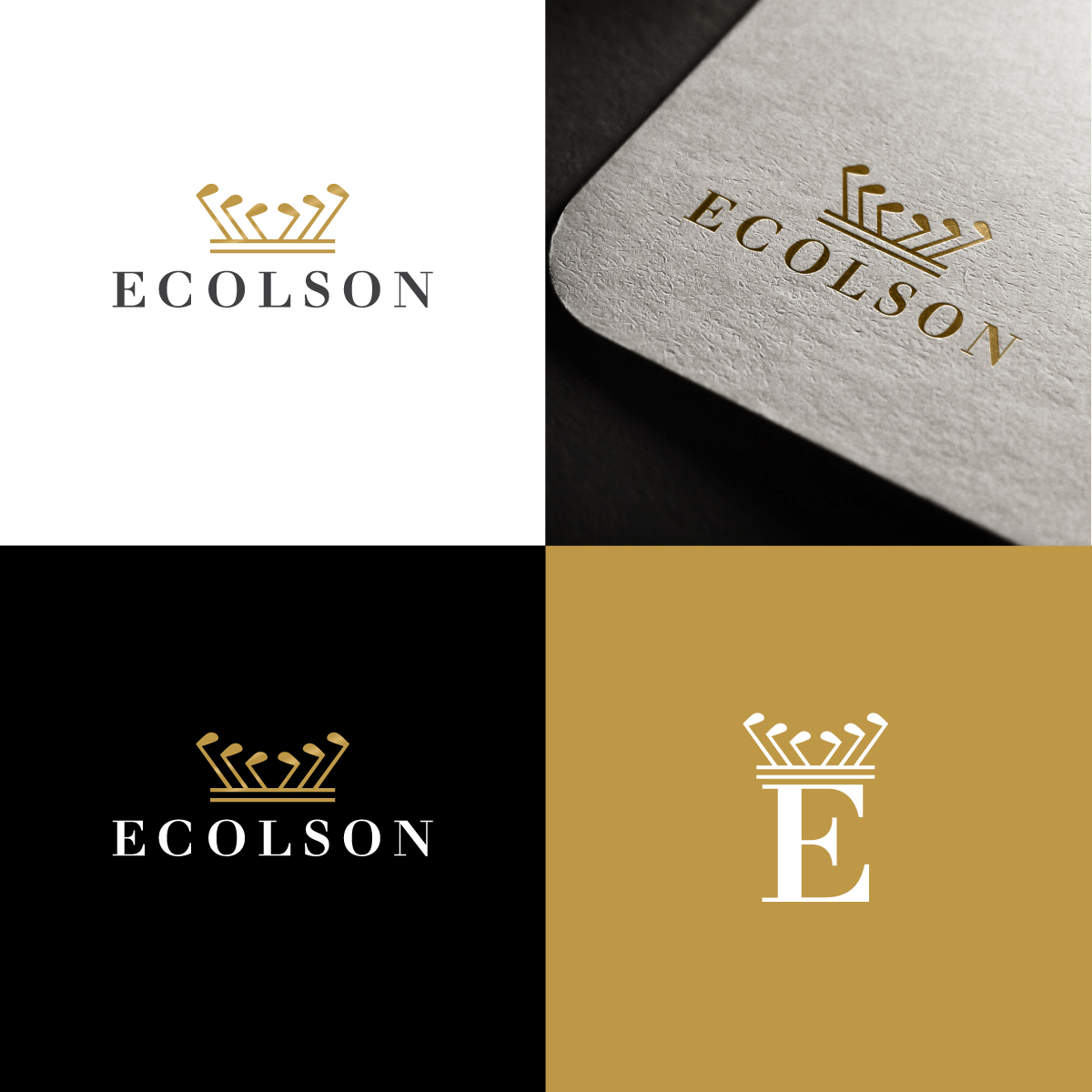 Logo Design by anonrotide for ECOLSON LLC | Design #25801977