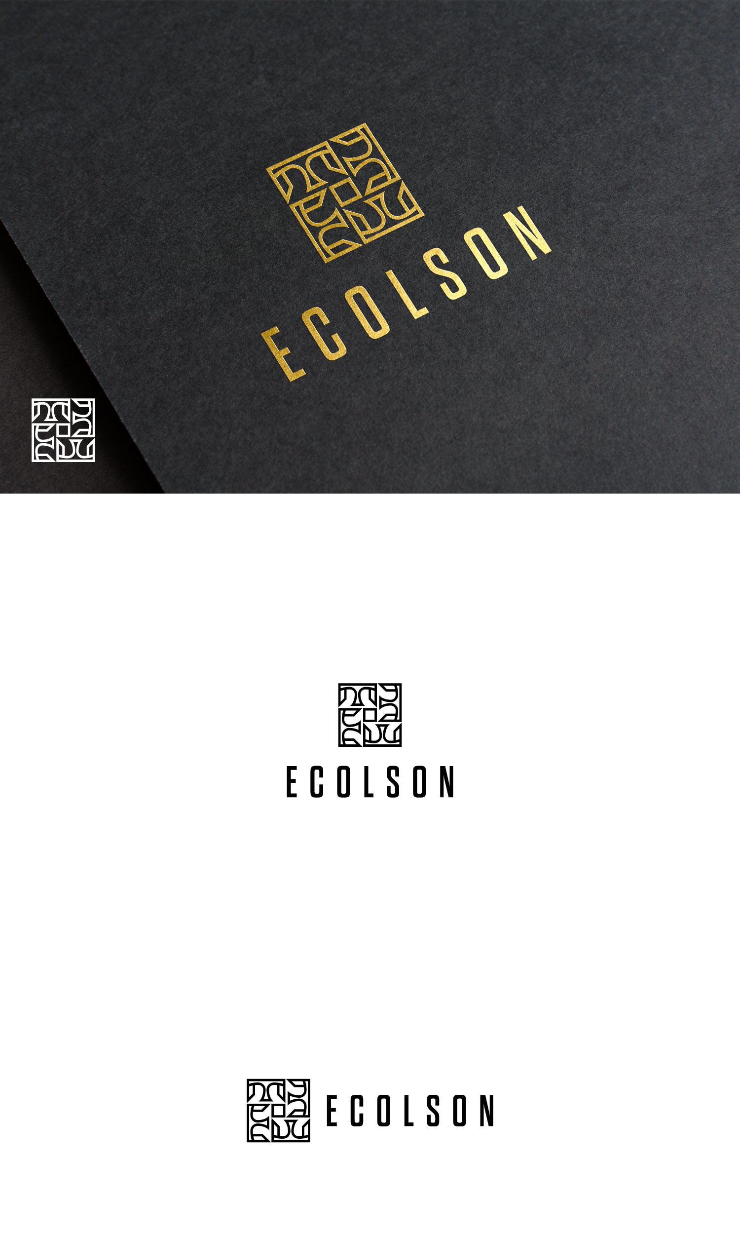 Diseño de Logo por Haja_H2 para ECOLSON LLC | Diseño #25773233