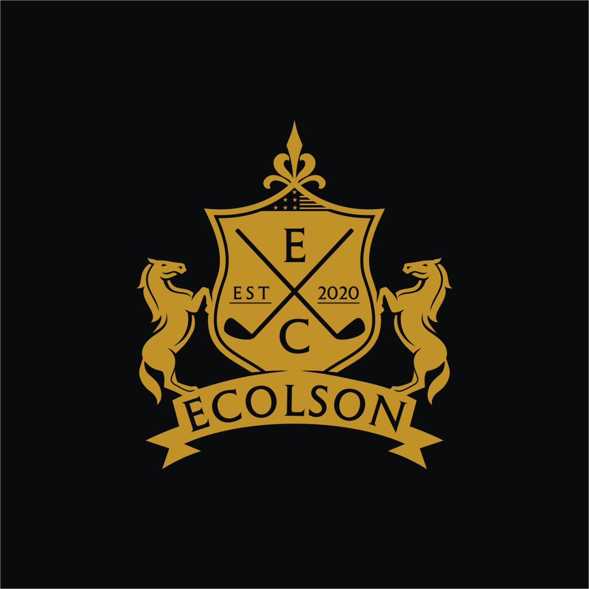 Logo Design by Ashani Bhattacharya for ECOLSON LLC | Design #25785954