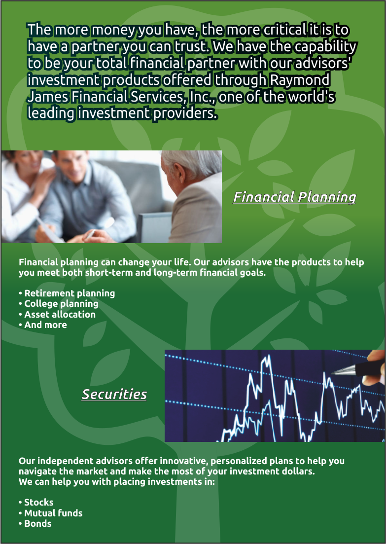 Brochure Design by David Mendez Fernandez for Blue Horseshoe | Design #3086378