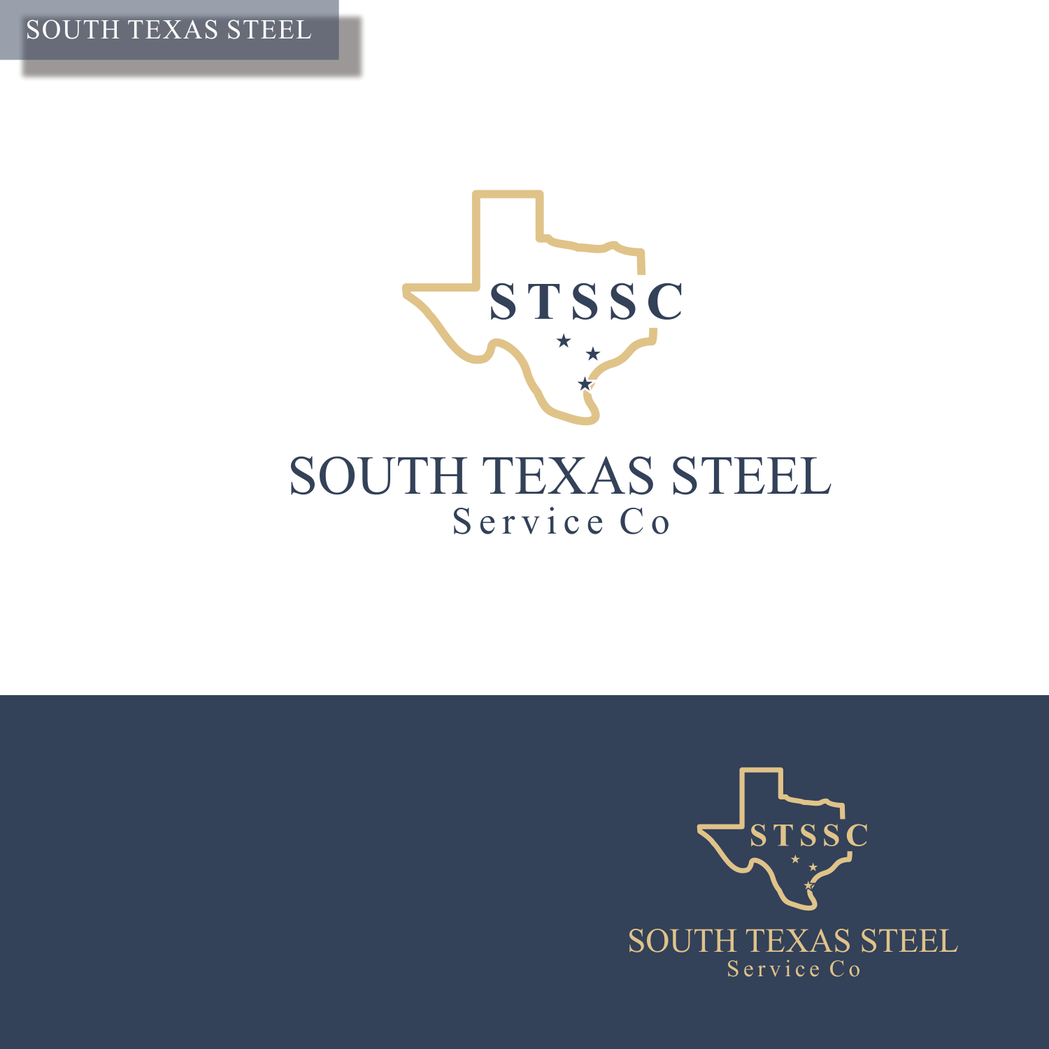 Logo Design by Artgo for this project | Design #25790111