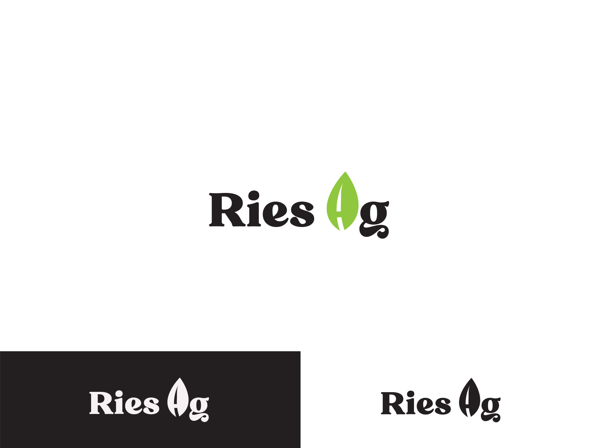 Logo Design by TiD for this project | Design #25786203