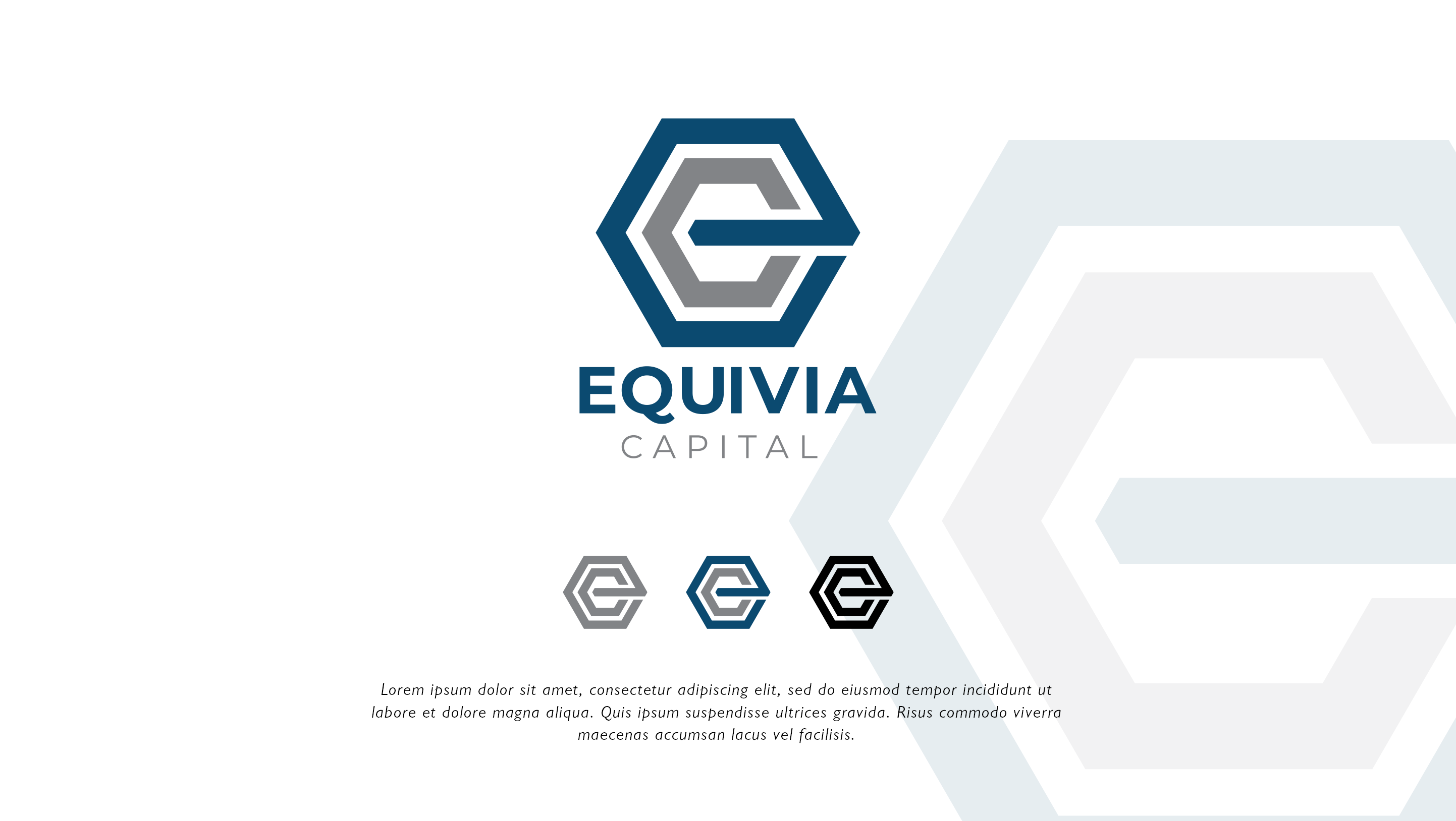 Logo Design by ZinKo for this project | Design #25806724